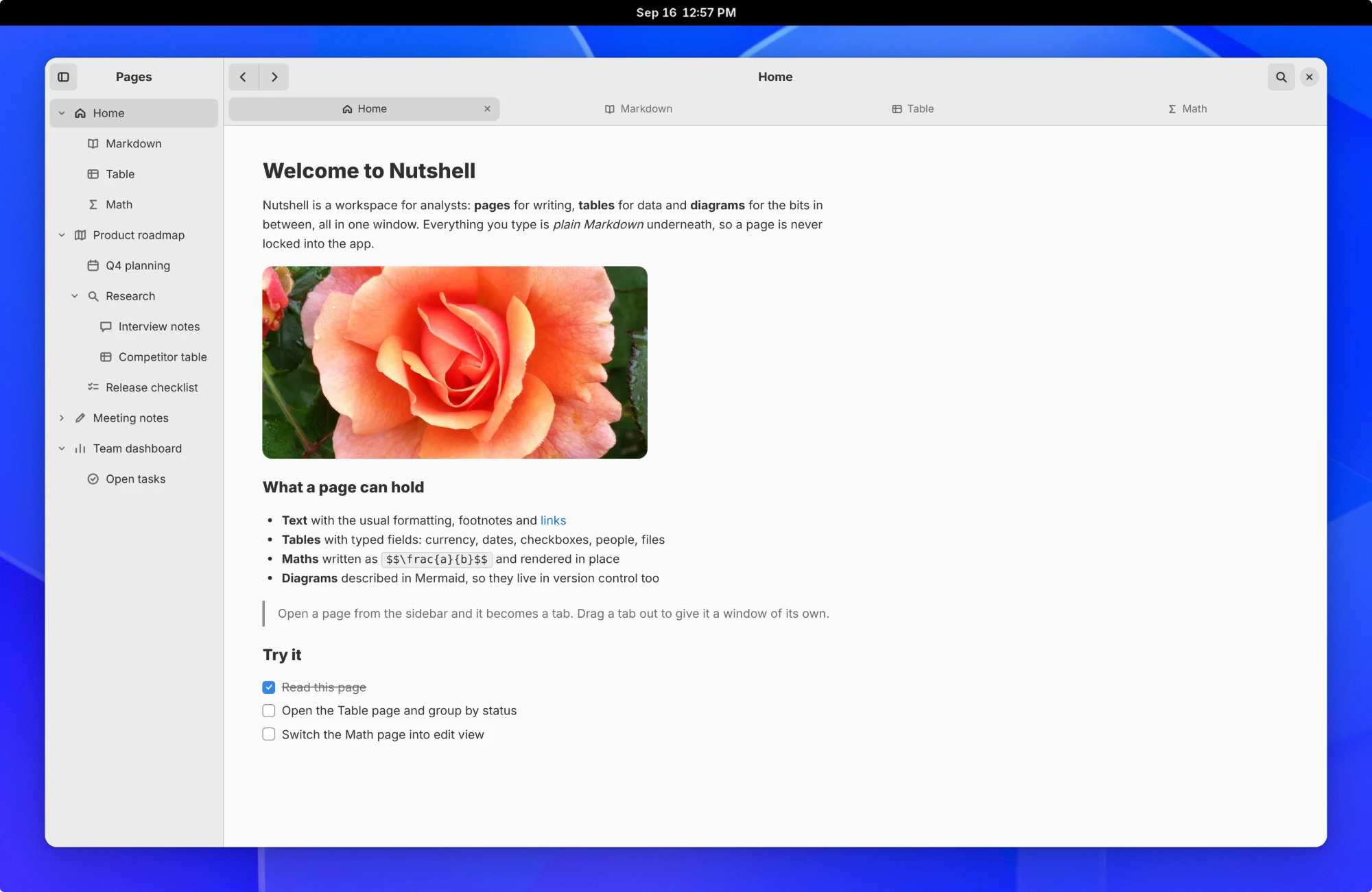 Nutshell running on Linux with GNOME, showing the Home page with a sidebar of pages and tabs for Markdown, Table and Math
